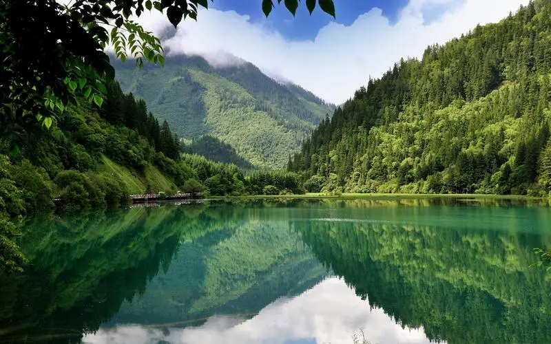 高端高端
